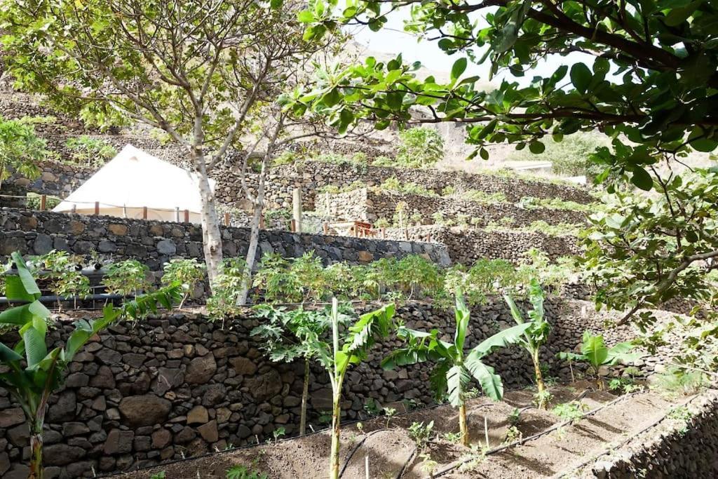 Ecolodge Kasa D'Igreja Chã da Igreja Buitenkant foto