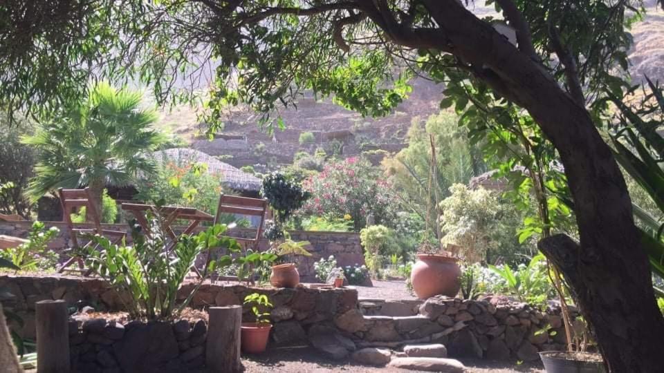Ecolodge Kasa D'Igreja Chã da Igreja Buitenkant foto