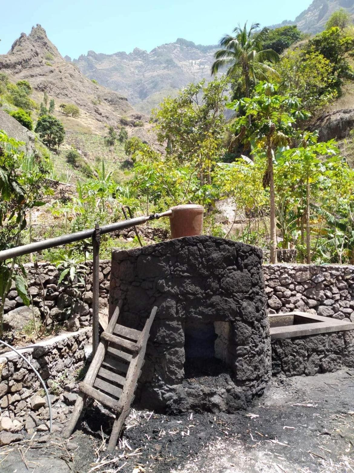 Ecolodge Kasa D'Igreja Chã da Igreja Buitenkant foto